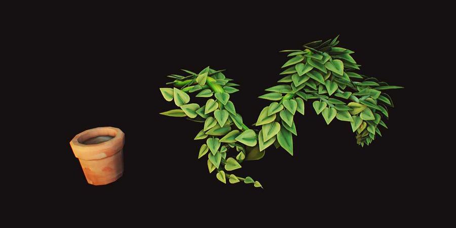 Terracotta pot and a trailing indoor plant